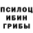 Псилоцибиновые грибы GOLDEN TEACHER Vladimir Abdyuchev