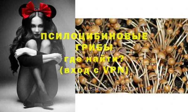 трава Абдулино
