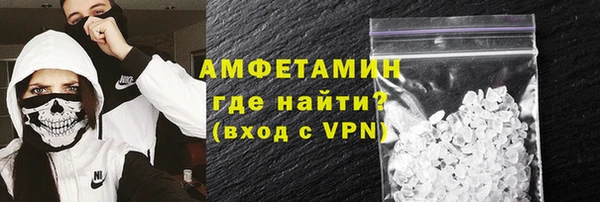 мет Алексин